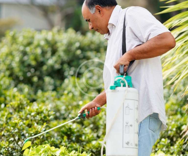 Main Tools for a Successful Pest Control